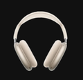 Airpods pro maxes
